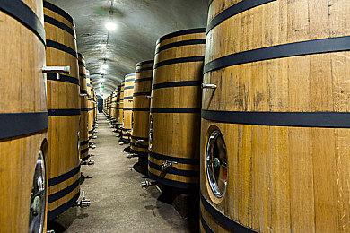 《魔咒之地》PC配置需求太高 玩家质疑游戏没优化好